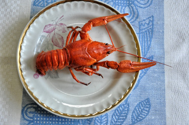 Similar image 1455727