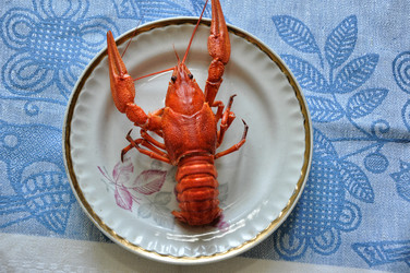 Similar image 1455728