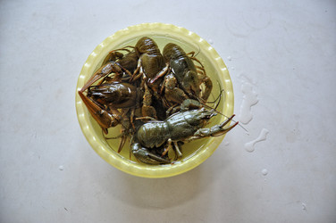 Similar image 1455731