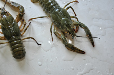 Similar image 1455732