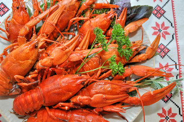 Similar image 1455752