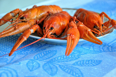 Similar image 1455753