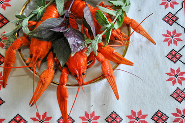 Similar image 1455755