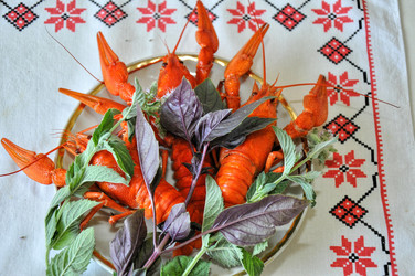 Similar image 1455757