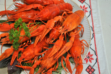 Similar image 1455759