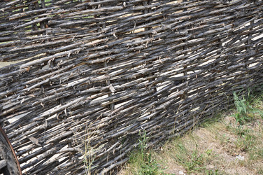 Similar image 1455761