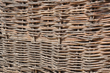 Similar image 1455766