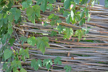 Similar image 1455768