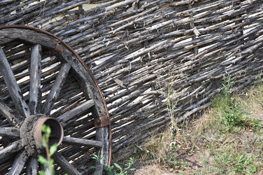 Similar image 1455769