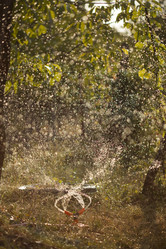 Similar image 1455777