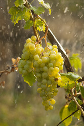 Similar image 1455778