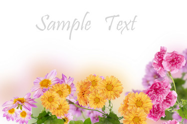 Similar image 1455920