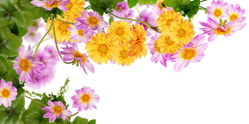 Similar image 1455921