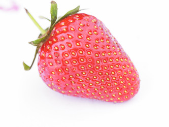 Similar image 1455953