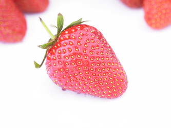 Similar image 1455954