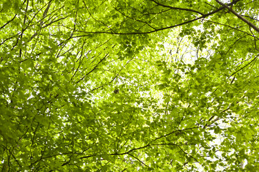 Similar image 1455970