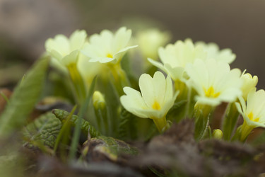 Similar image 1455975