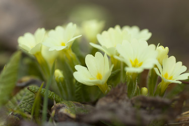 Similar image 1455976