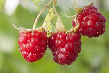 Similar image 1455984