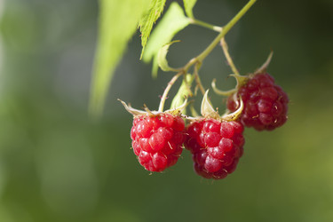 Similar image 1455991