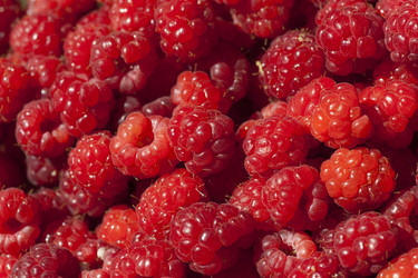 Similar image 1455998