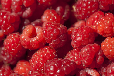 Similar image 1455999