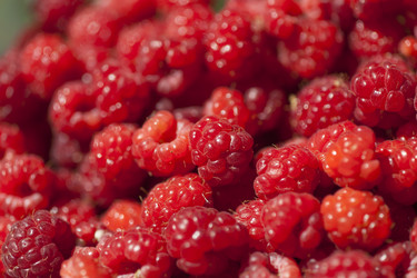 Similar image 1456000