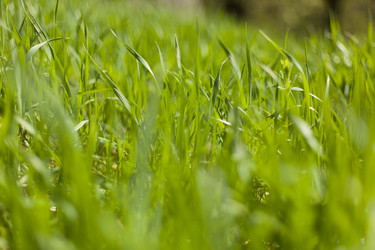 Similar image 1456014