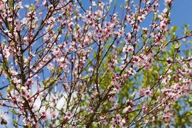 Similar image 1456028