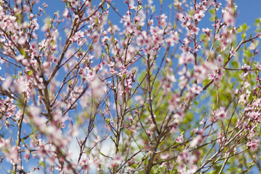 Similar image 1456029