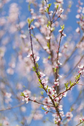 Similar image 1456030