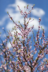 Similar image 1456031