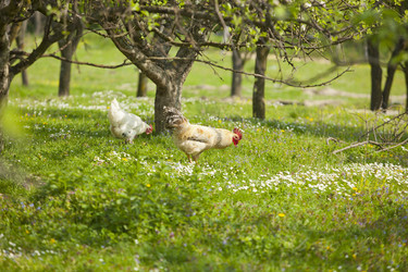 Similar image 1456035