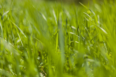 Similar image 1456037