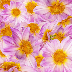 Similar image 1456115