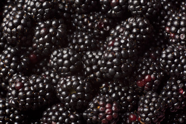 Similar image 1456157