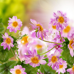 Similar image 1456217