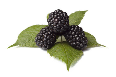 Similar image 1456263