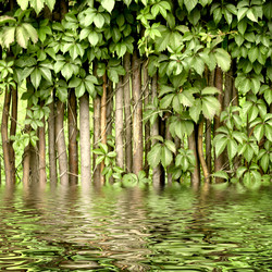 Similar image 1456286