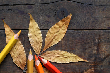 Similar image 1456288