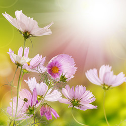 Similar image 1456295