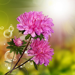 Similar image 1456298