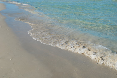 Similar image 1456311