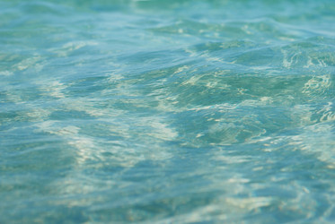 Similar image 1456316