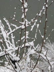 Similar image 1456318