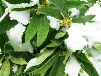 Similar image 1456322