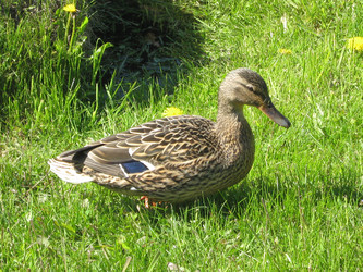 Similar image 1456402