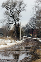 Similar image 1456418