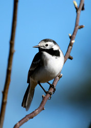 Similar image 1456419