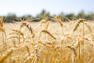 Similar image 1456491